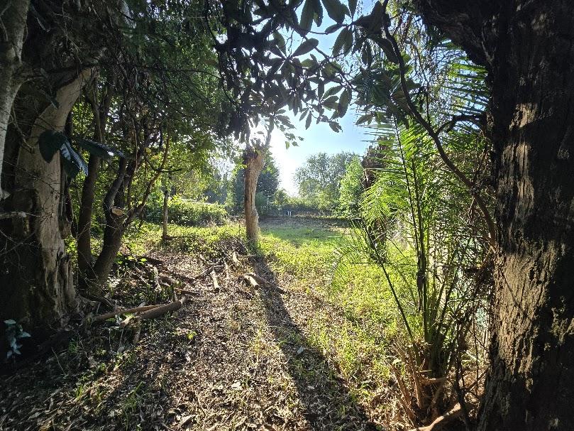 Lote en Benavídez, Tigre, foto 3