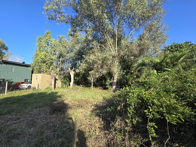 Lote en Benavídez, Tigre, foto 5