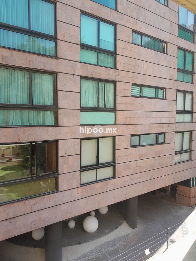 20260326_104823.jpg