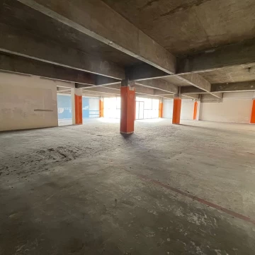 4 Locales en renta en San Pedro de los Pinos 