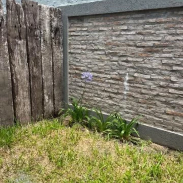 1775567831.jpeg
