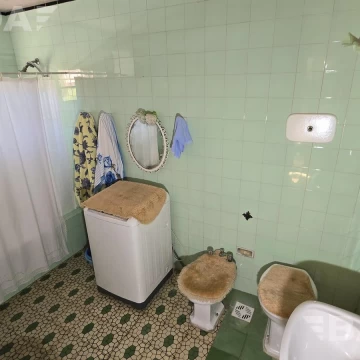 1775570783.jpg