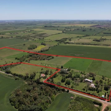 Campo 24 ha con casa principal y mejoras | Ruta 97 | Zona Nueva Palmira
