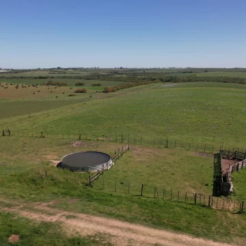 Muy buen campo mixto de 64 has en zona de Nueva Palmira