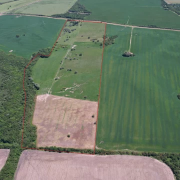 Campo con Casa en Colonia – 24 ha | Cerca de Nueva Palmira | Buen Acceso