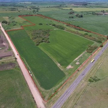 Campo agrícola 29 has en venta | Frente Ruta 12 | A 13 km Nueva Palmira