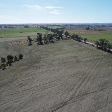 Campo en venta Colonia - Ruta 2 - Agrícola