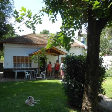 Algarrobos 300