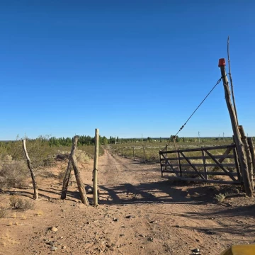 Venta 12,95 Hectáreas en Plottier.