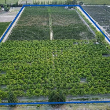 Finca sobre ruta 171 10ha San Rafael Mendoza