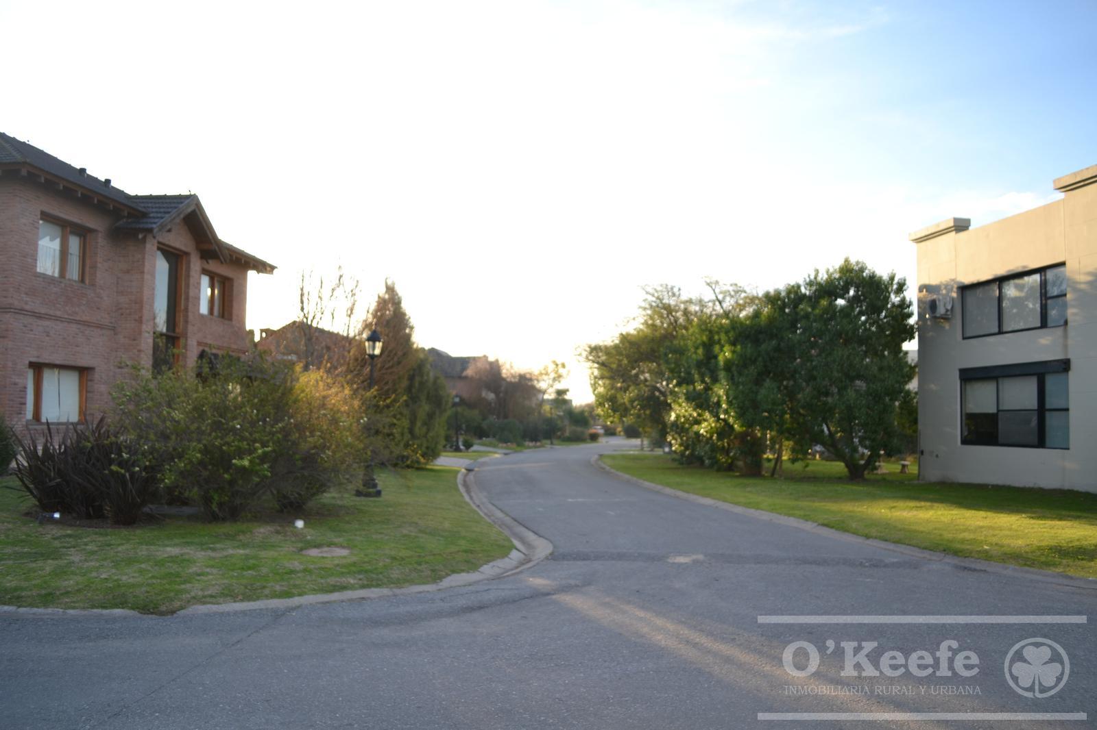 image 23