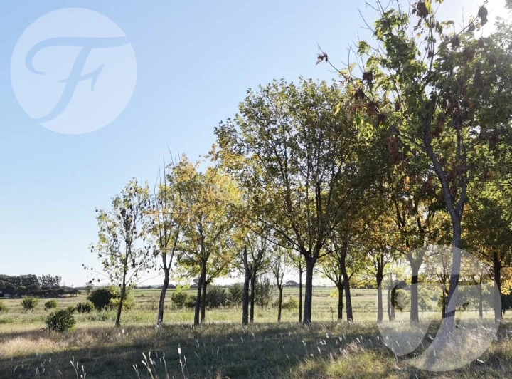 LOTEO LAGO DE OBLIGADO – SAN PEDRO  | Financiación en dólares | Escritura inmediata