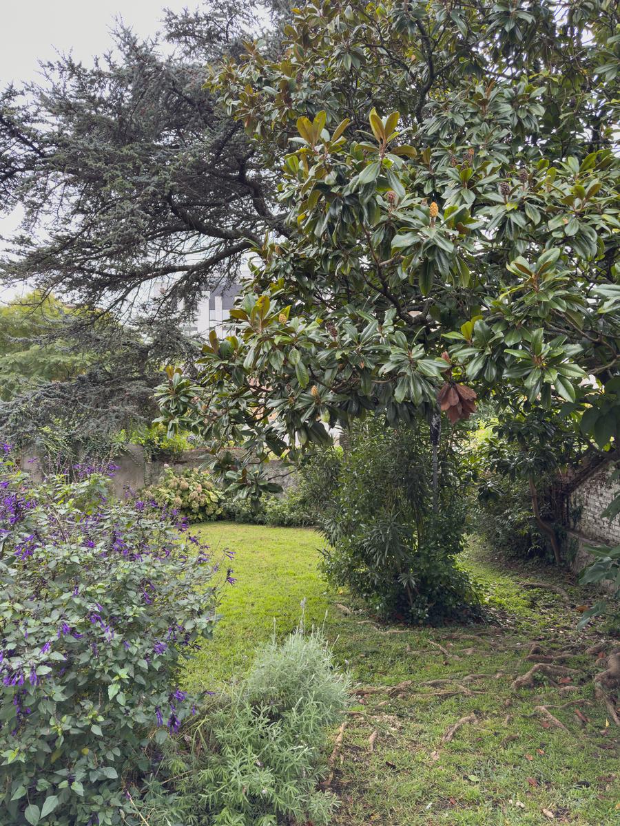 image 17