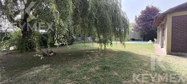 1775679089.jpg