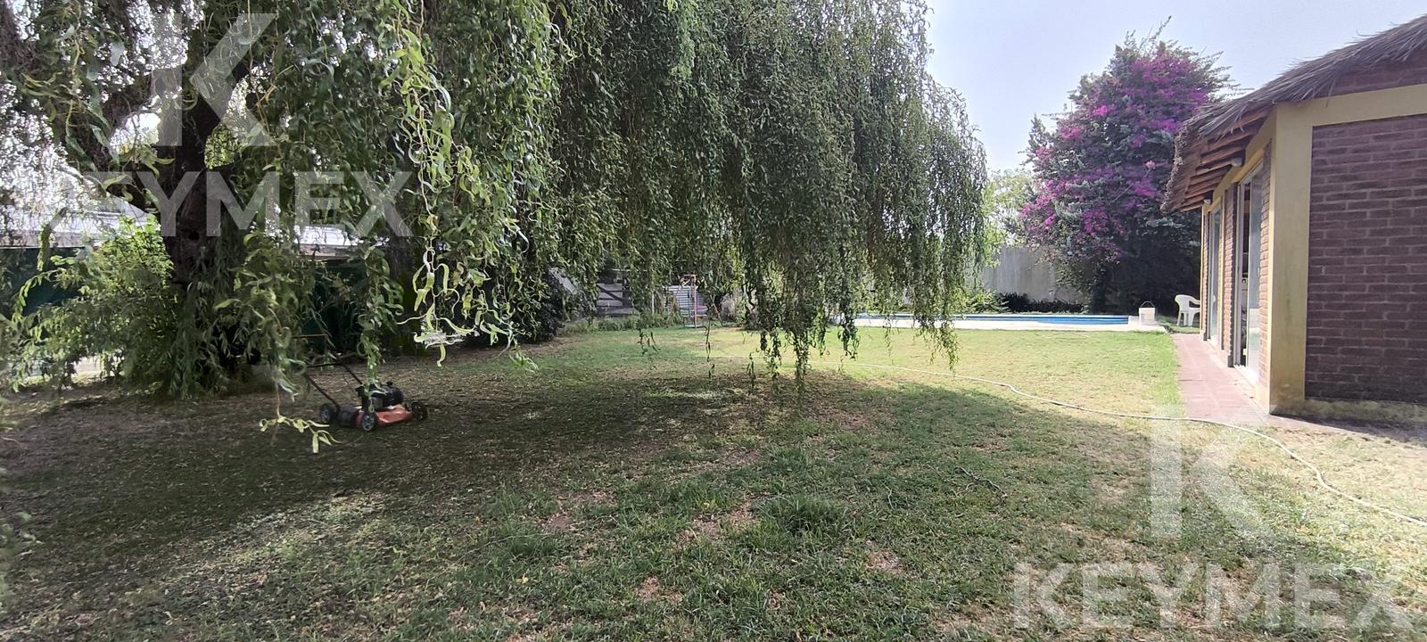 image 36