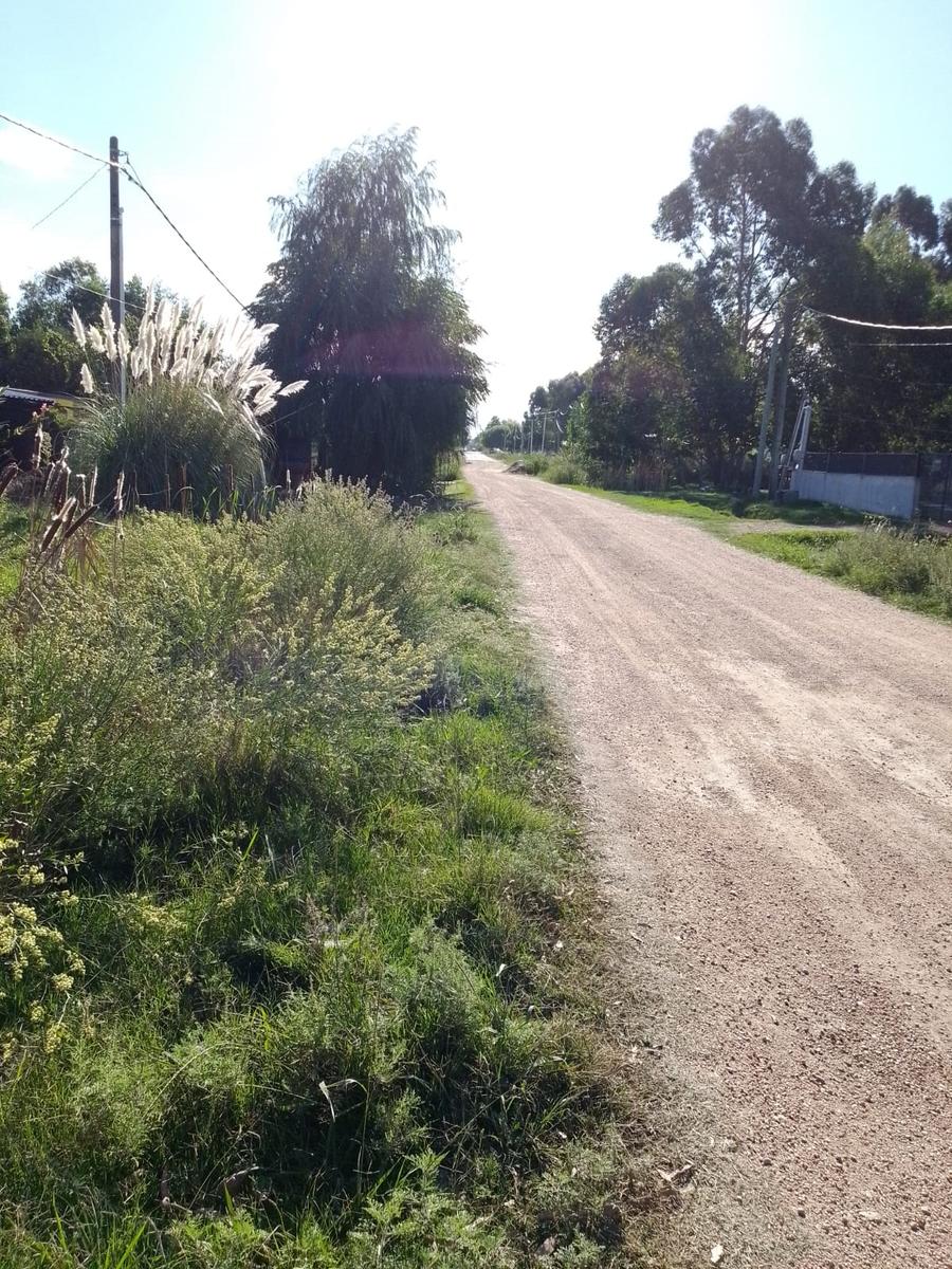 image 25