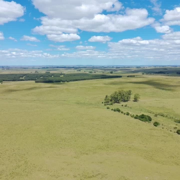 Campo en Lavalleja próximo a  José Pedro Varela