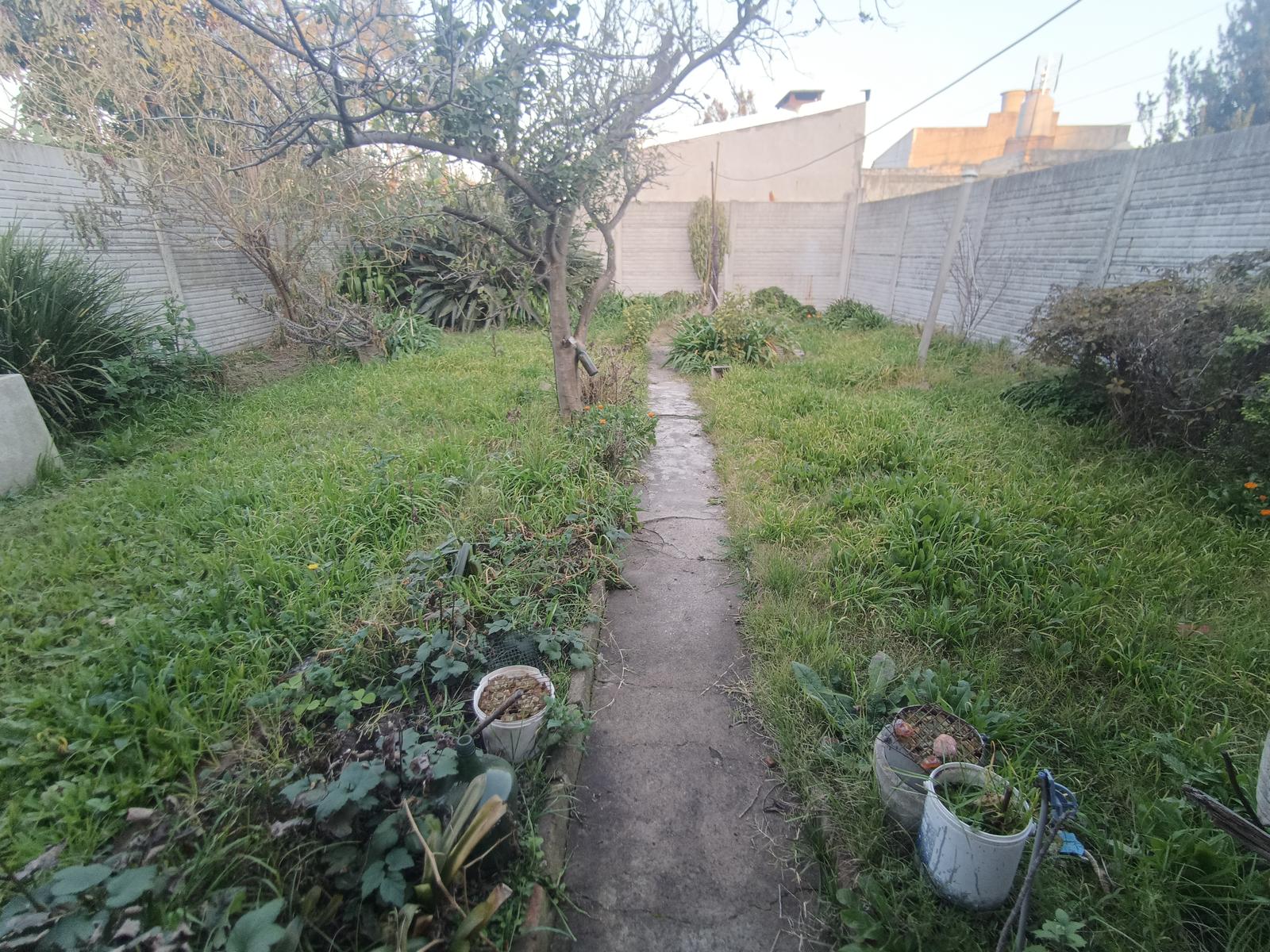 image 17