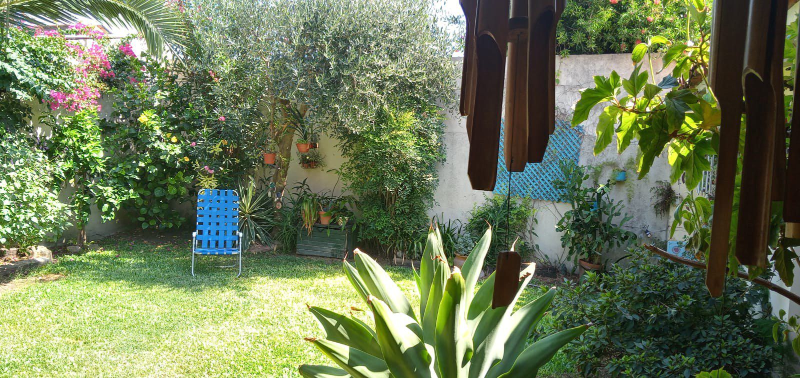 image 22