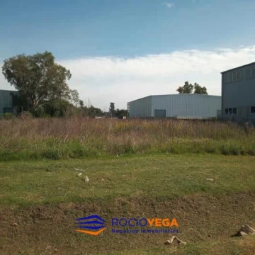 1775755504.jpg