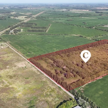 Campo de 9 hectáreas con excelente proyección industrial. Camino Costa Brava, Zárate