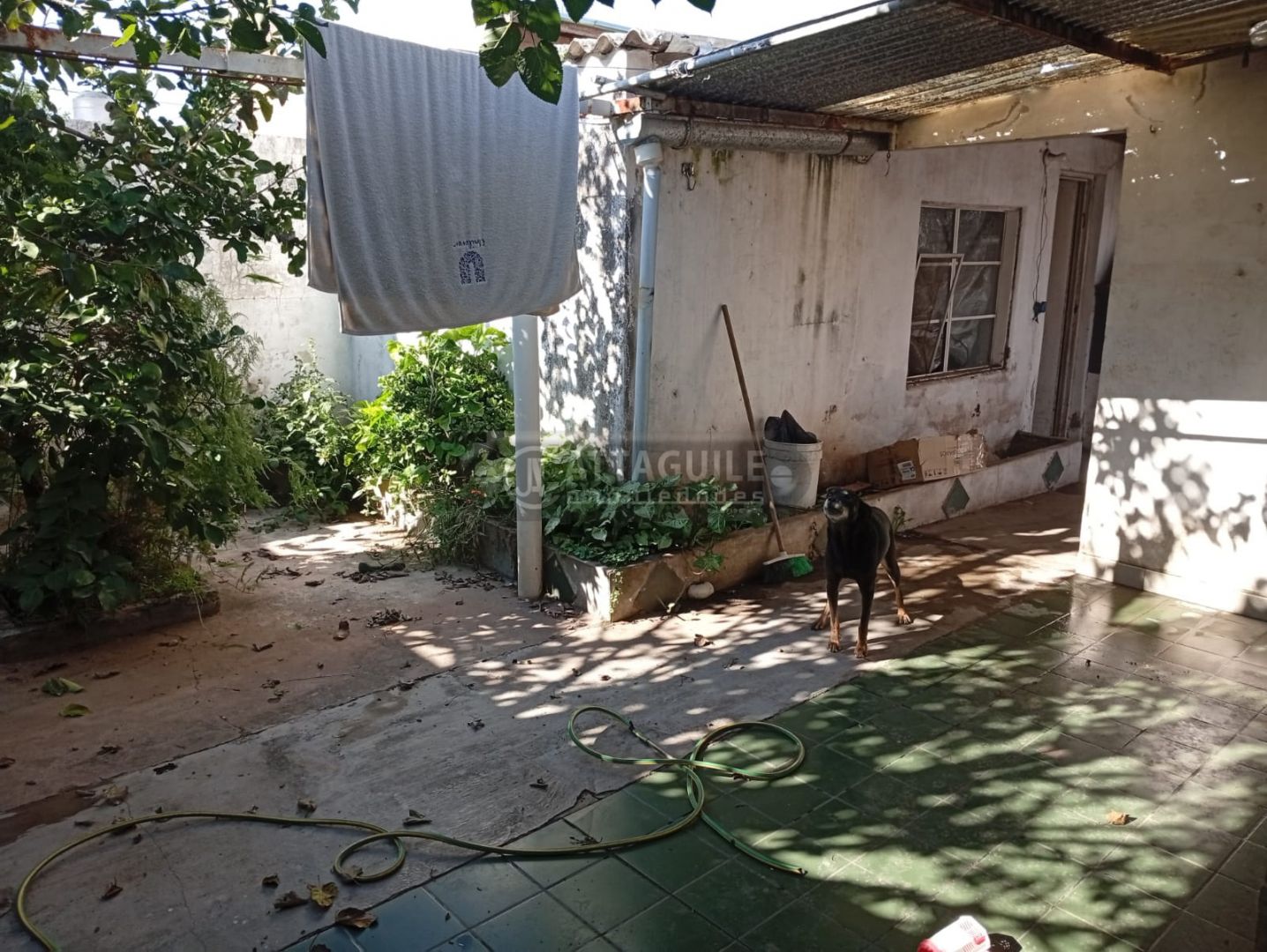 image 14