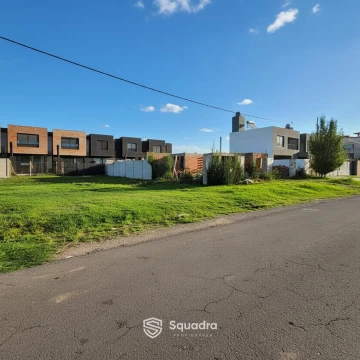 1775851950.jpg