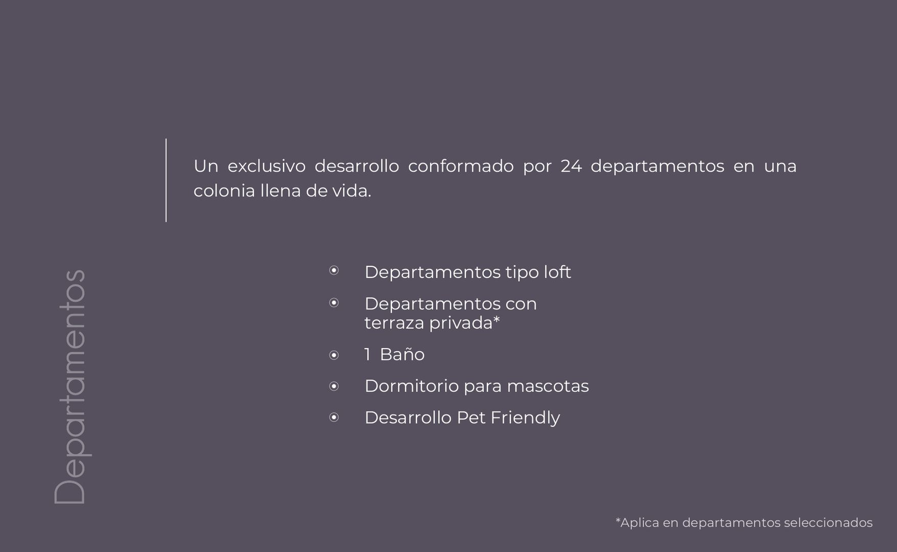 CASA ROMA 269 -PrePreventa_page-0005.jpg