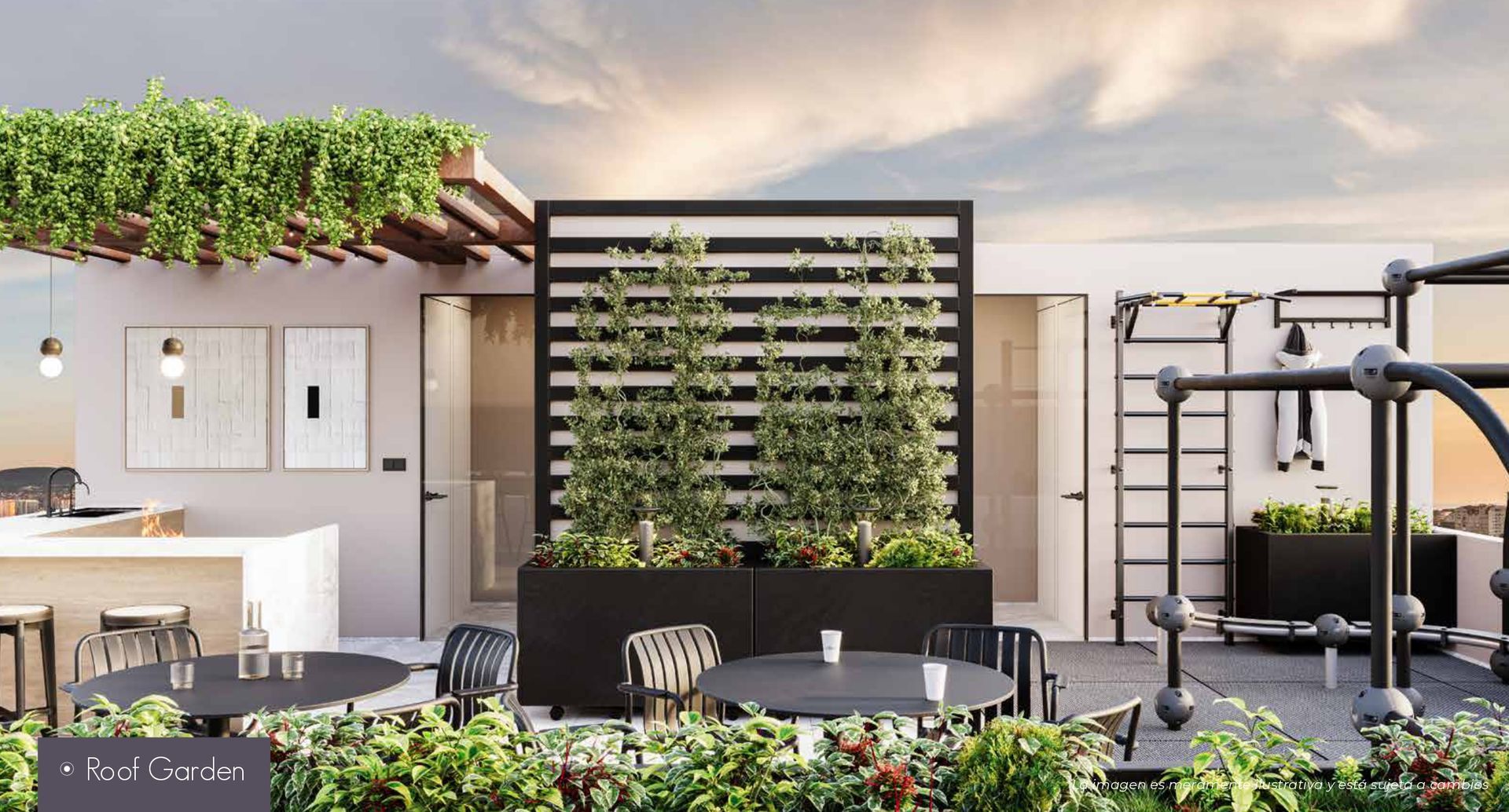 CASA ROMA 269 -roof.jpg