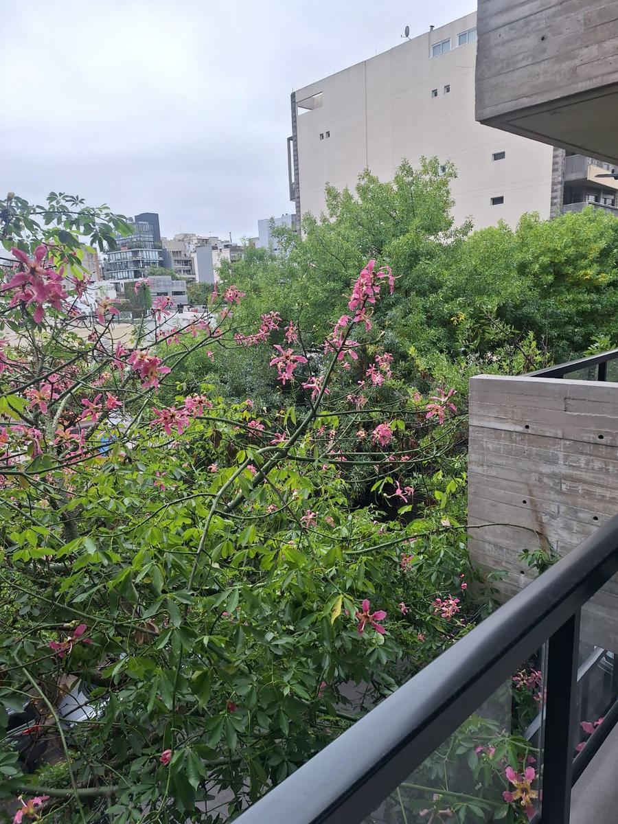 image 14
