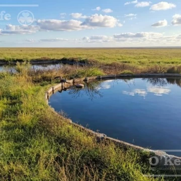 Campo en Venta de 3945 has en San Luis