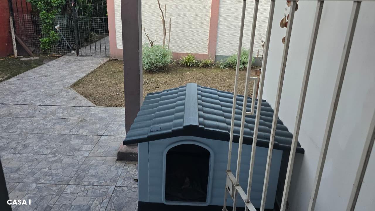 image 22