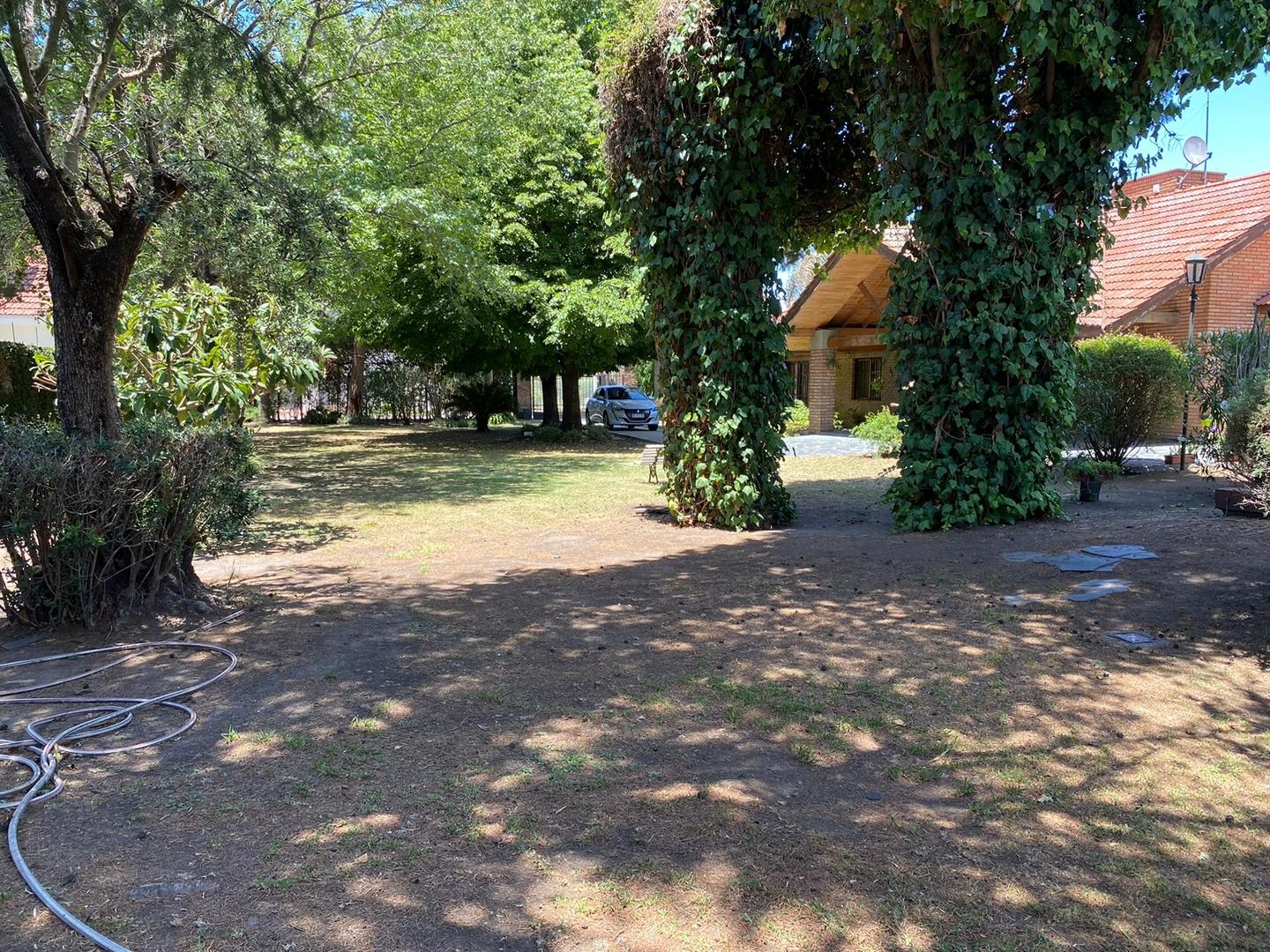image 24