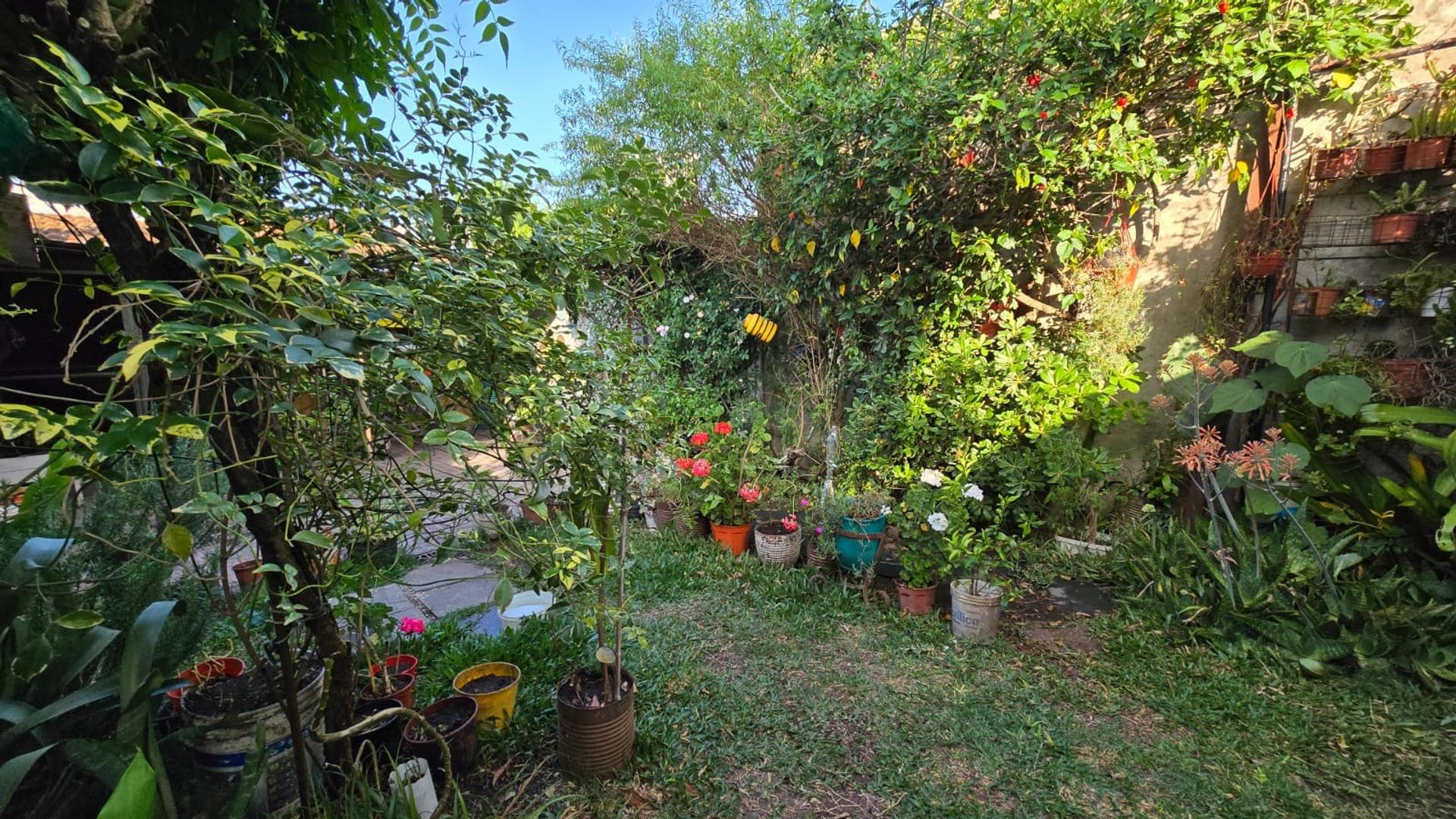 image 29