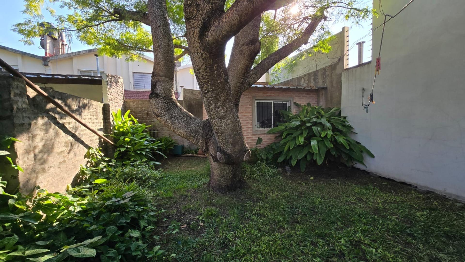 image 23