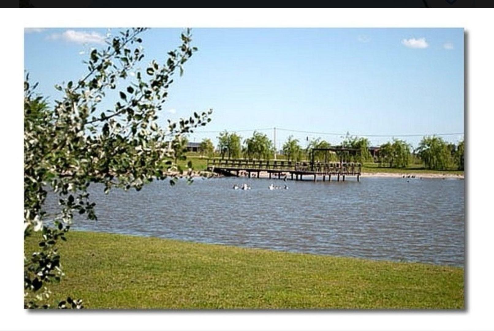 image 34