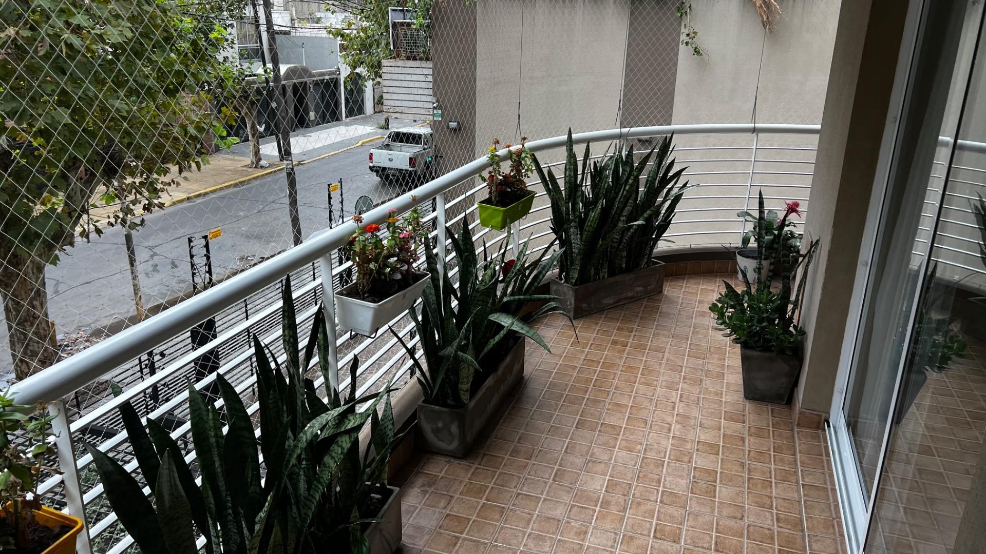 image 50