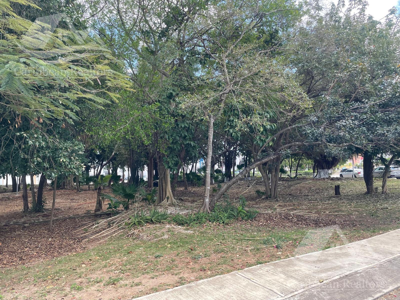 image 14