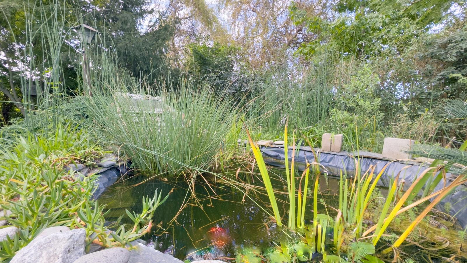 image 32