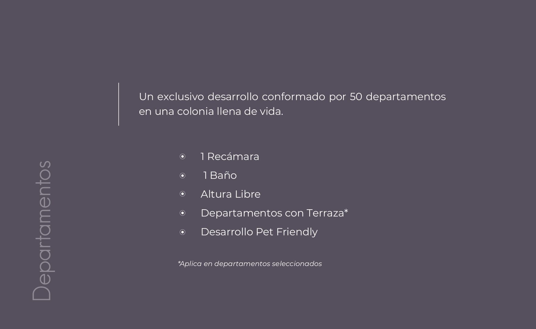 Casa Roma 336 - PRE-PREVENTA_page-0006.jpg