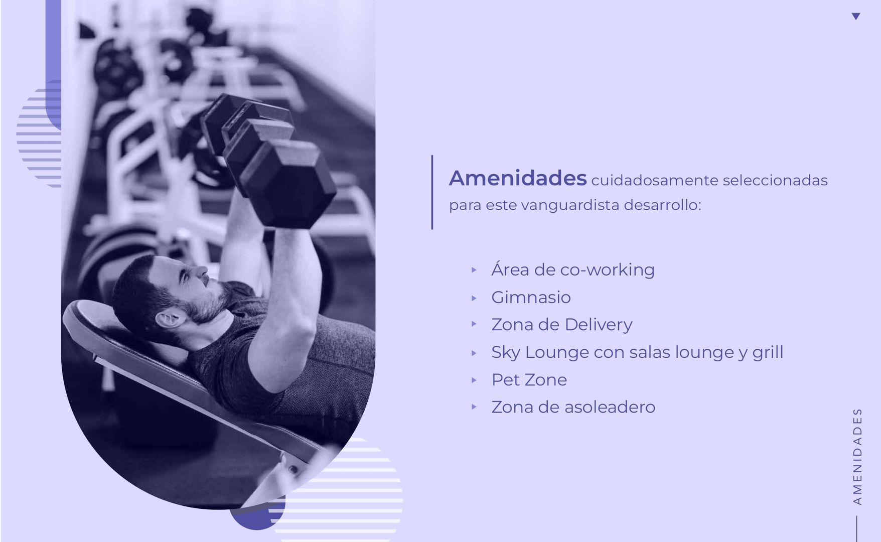 VÍA Insurgentes - PREVENTA_page-0008.jpg