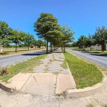 1776197554.jpg