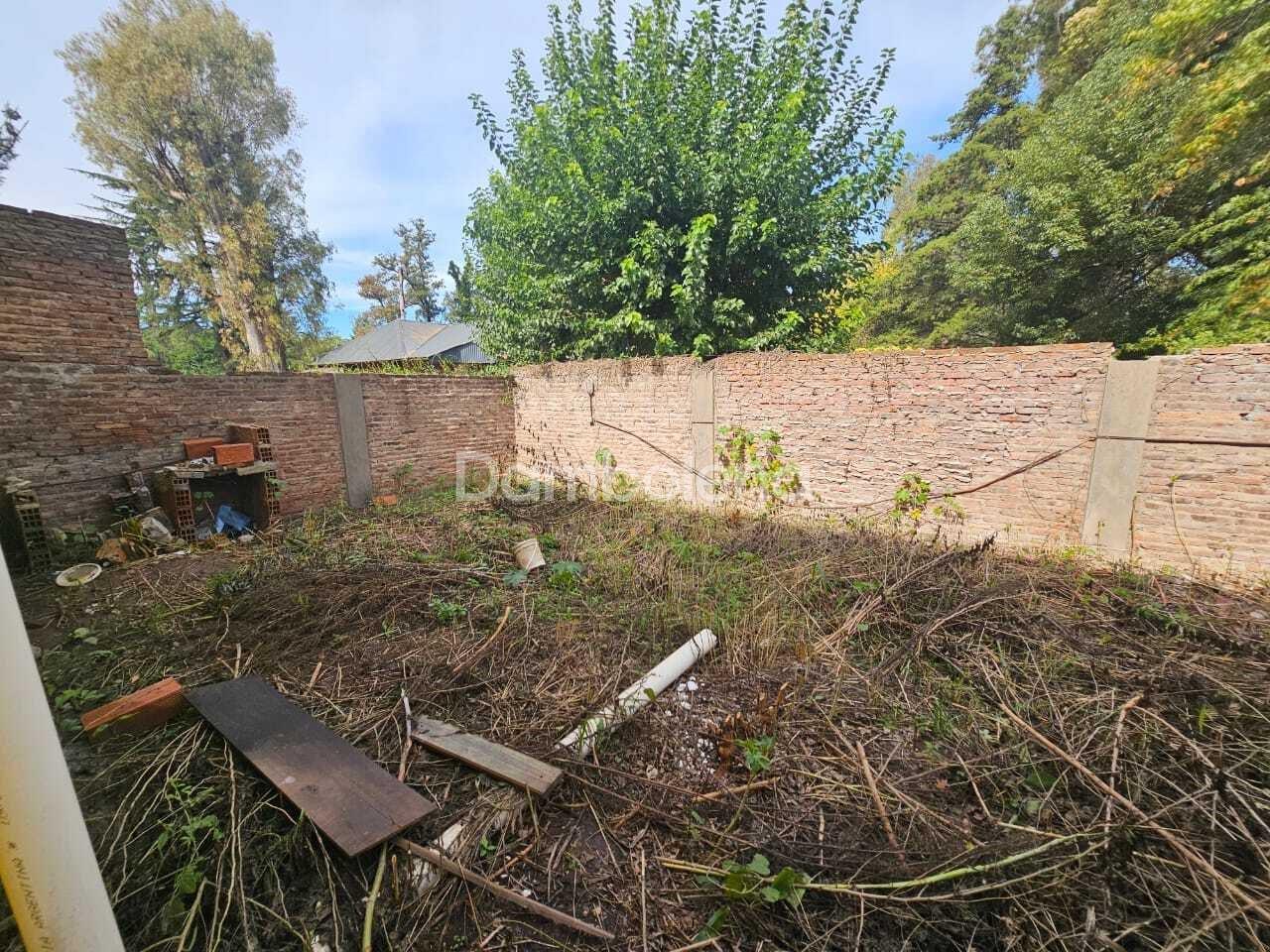 image 65