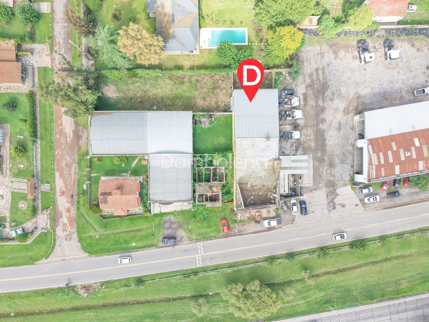 image 81