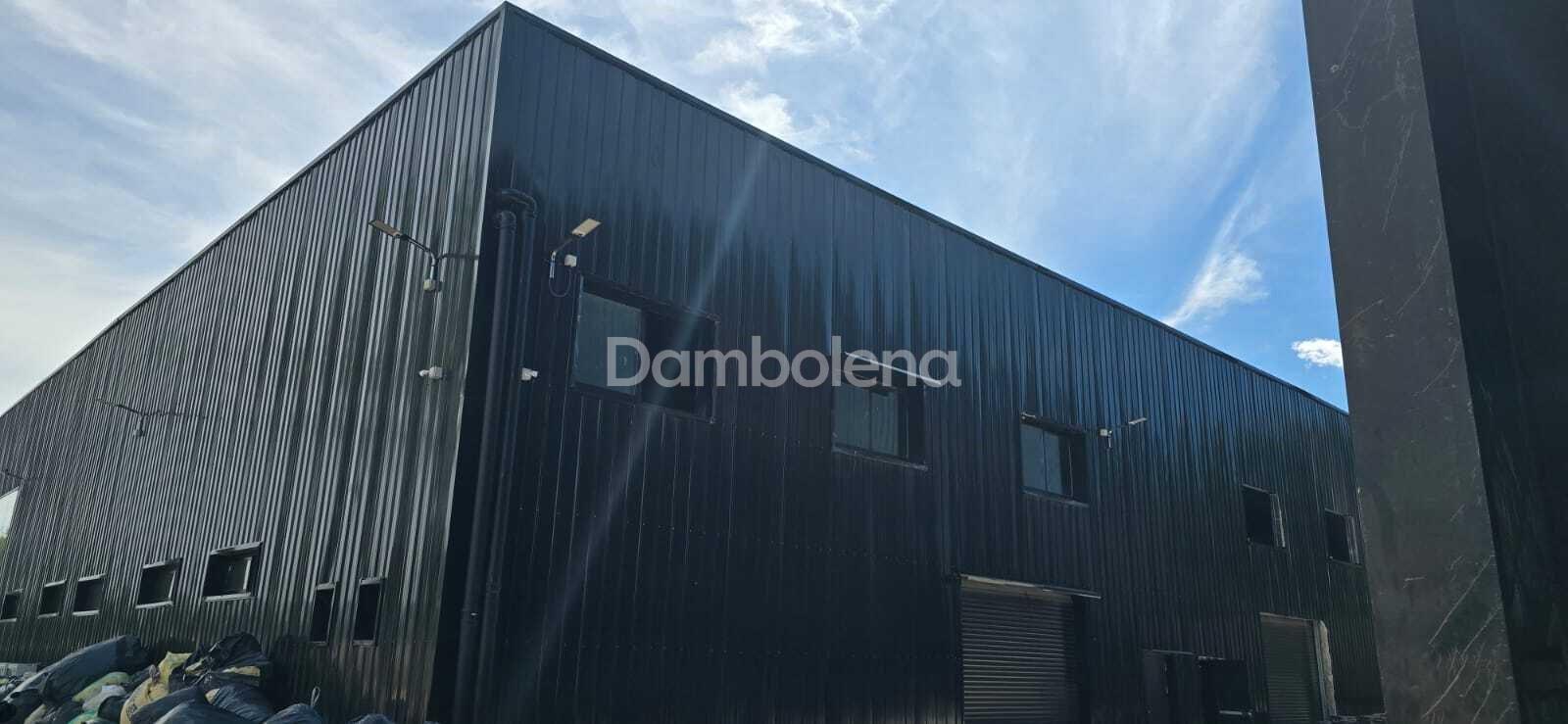 image 19