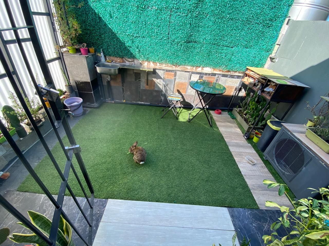 image 15