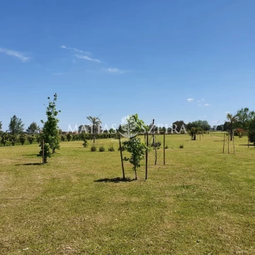 LOTE 5500 MTR2 CON PROYECTO APROBADO LA CECCILIA