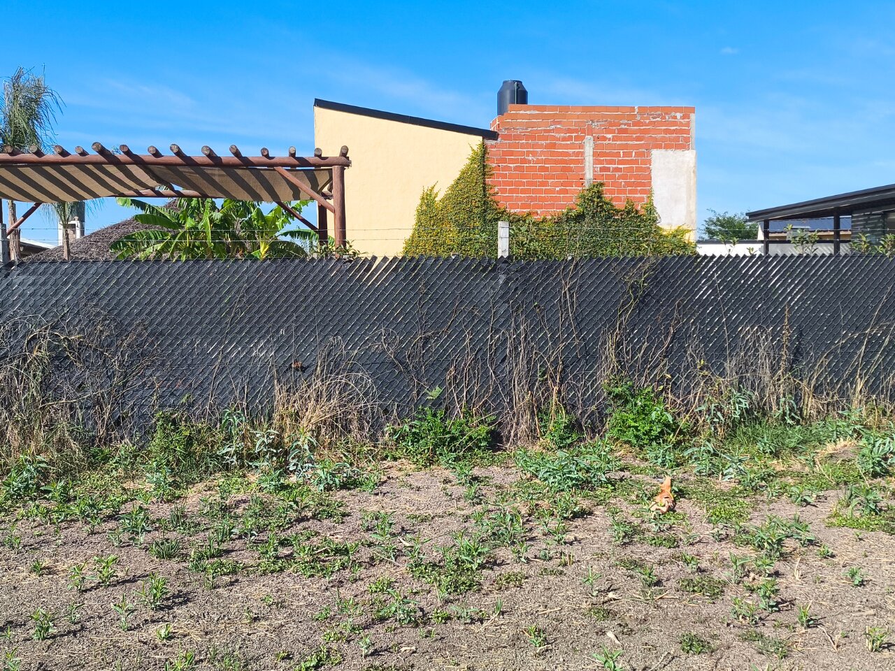image 18