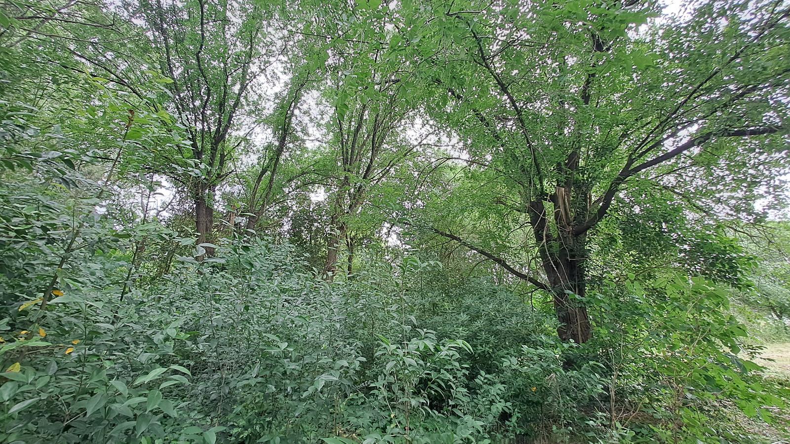 image 13