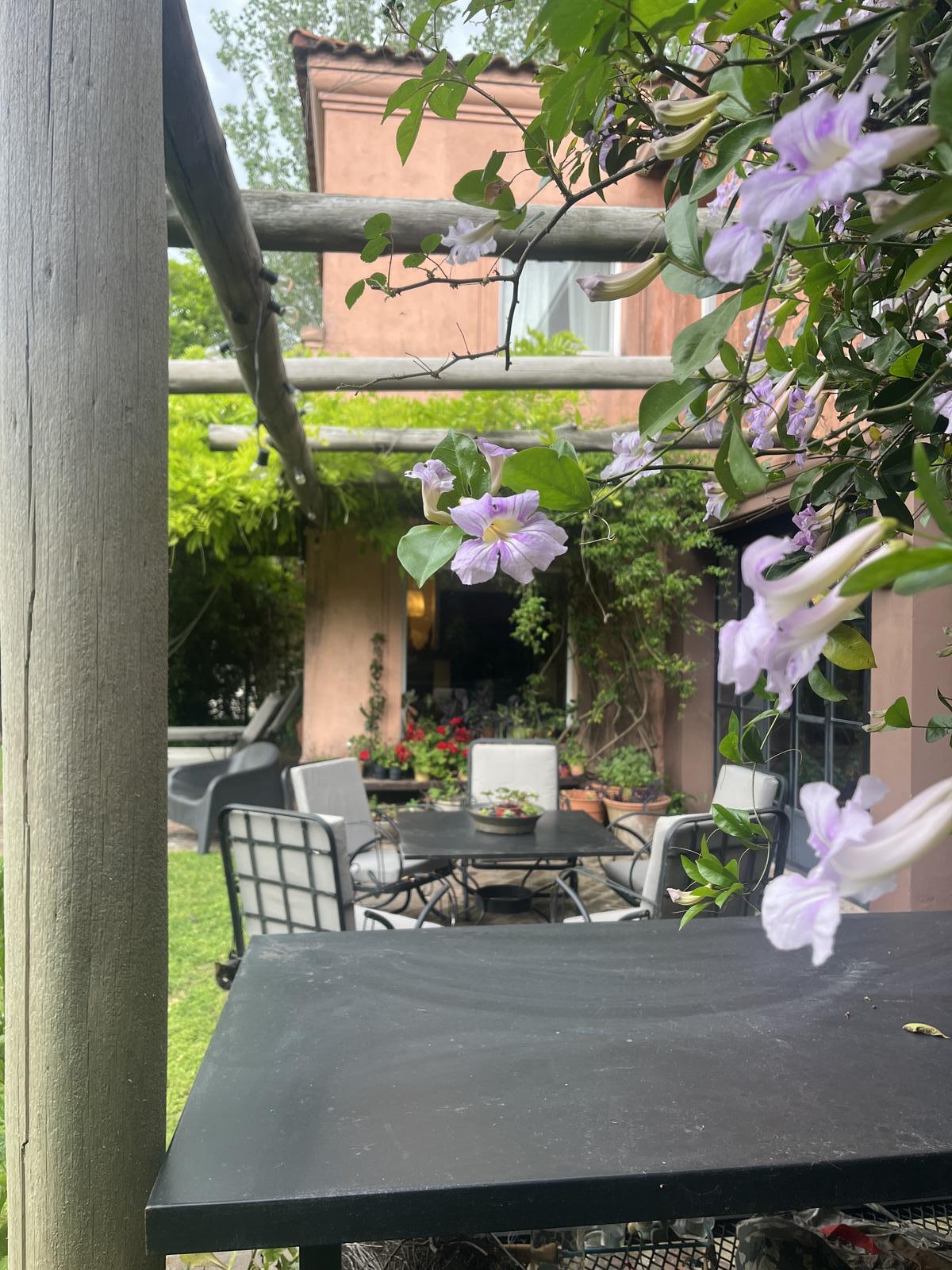 image 25